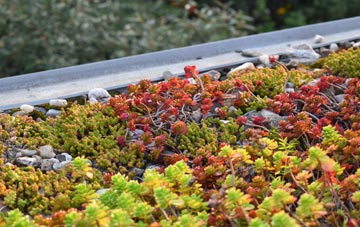 the cost of Winthorpe green roof installation