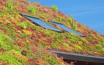 Winthorpe living roof systems