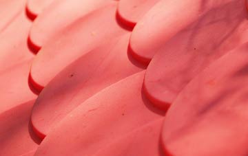 Winthorpe plastic roof costs