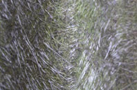 Winthorpe fibreglass roof work